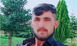 Hayvan otlatırken yıldırım isabet eden besici ağır yaralandı