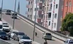 Mersin'de Kaçan keçi, trafiği birbirine kattı
