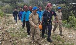 Kayıp demans hastasının ormanda cansız bedeni bulundu