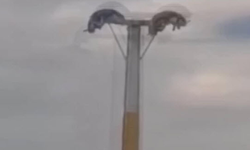 Lunaparkta arızalanan oyuncakta baş aşağı mahsur kaldılar