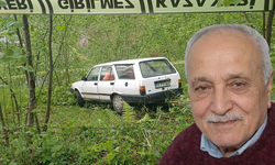 Fındık bahçesine giren otomobilin sürücüsü öldü