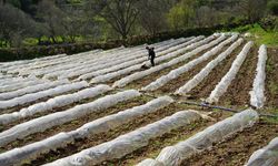 Tasarruflu Sulamada Hibe Desteği Dönemi Başladı!
