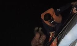 Seyhan Nehri'ne düşen kadını itfaiye ekibi kurtardı