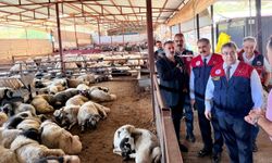 Vali yardımcısı kurban pazarında denetime çıktı