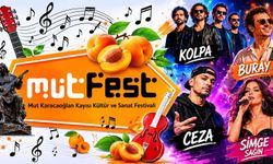 64. Mut Karacaoğlan Kayısı Kültür ve Sanat Festivali için geri sayım başladı