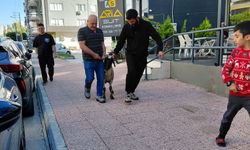 Kaçan kurbanlık koç Mezitli sokaklarını birbirine kattı