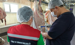 Çamlıyayla'da kesimhanelerde hijyen denetimleri aralıksız sürüyor