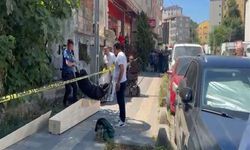 Kedisini ararken cansız beden buldu