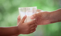 Gıda Mühendisleri Odası’ndan süt çağrısı