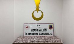 Mersin'de 7 bin 256 sentetik hap ele geçirildi