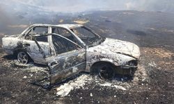 Anız yangını kontrolden çıkıp ormana sıçradı