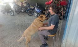 Gözleri görmeyen köpeğe 13 yıldır evladı gibi bakıyor