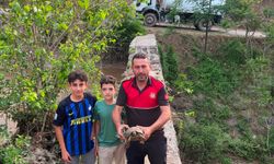 Çamura saplanan kaplumbağayı itfaiye kurtardı