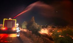 Anız yangını 200 dönüm zeytinliği kül etti