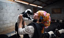 Küçükbaş desteğiyle başlayan üretim katlanarak büyüdü