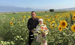 Sarıya bürünen tarlalar yeni evlenen çiftlerin uğrak noktası oldu