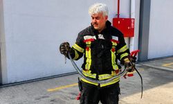 Sıcaklarla birlikte Mersin'de son 1,5 ayda 184 yılan vakası