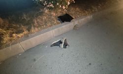 Kızını sınava götürmek istedi feci şekilde can verdi