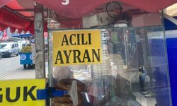 Mersinli vatandaşı şaşırtan acılı ayran kuyruğu