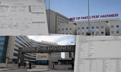 Üniversitede hemşire, Şehir Hastanesinde numune krizi