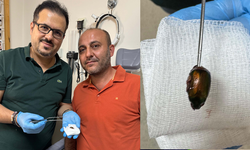Ağrı ve işitme kaybı nedeniyle gittiği hastanede, kulağından böcek çıktı
