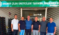 Çilek üreticisinden ‘sessizce tükeniyoruz’ feryadı
