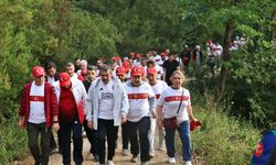 Bakan Tekin öğretmenlerle ormanda yürüyüşe katıldı