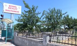 Evde bulup oynadıkları silah ateş aldı