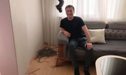 Evini güvercinlere açtı, oturma odasını yuva yaptı
