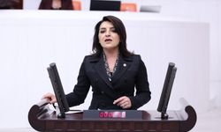 Mersin Milletvekili Kış: "Esnaf borcunu çeviremiyor"