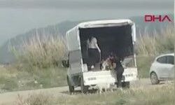 Koruma altındaki Milleyha Sulak Alanı'na çok sayıda köpek bırakıldı