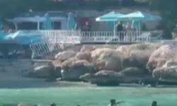 Mersin'de ilginç kavga