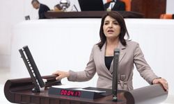 CHP’li Gülcan Kış’tan enflasyon tepkisi