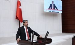 Mersin Milletvekili Ekmen: "Bakım merkezlerindeki ihmaller araştırılsın"