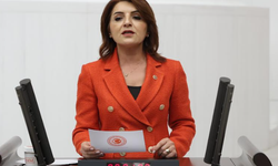 Gülcan Kış: Öğretmenlerin mağduriyeti daha fazla görmezden gelinemez
