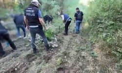 Hevsel Bahçeleri’nde 12 bin kök kenevir ele geçirildi