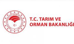 Bakanlık ‘taklit ve tağşiş’ listesini güncelledi