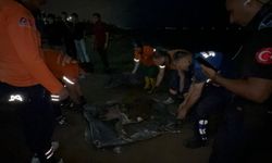 Mersin'de sahile ölü caretta caretta vurdu