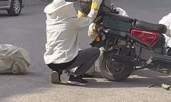 Kraliçe arının peşinden motosiklete oğul aldılar