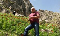 Mantar toplamak için çıktığı dağdan geri dönemedi