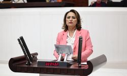 Adana’nın vekilinden “Artık Adana’yı ihmal etmeyin!” çağrısı