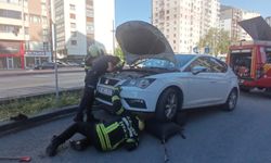 Park halindeki otomobilden yılan sarkıttığı ihbarı endişe yarattı