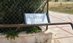 Koruma altındaki caretta sahili kamyonlara teslim edildi