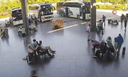 Soğuk zincirsiz taşınan 260 kg balığa el konuldu