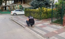 Tartıştığı kişi tarafından bacağından vuruldu