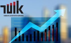 TÜİK Mayıs Ayı Enflasyonunu Açıkladı