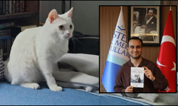 Üç patili Lucky'nin yaşam mücadelesi kitaba ilham oldu