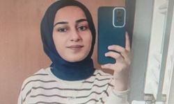 Van Barosu, Rojin Kabaiş dosyasından çekildi