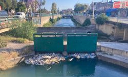 Tarsus'ta park yenilendi, kanal fare yuvasına döndü