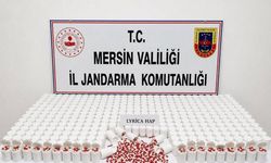 Mersin'de zehir tacirlerine jandarma darbesi